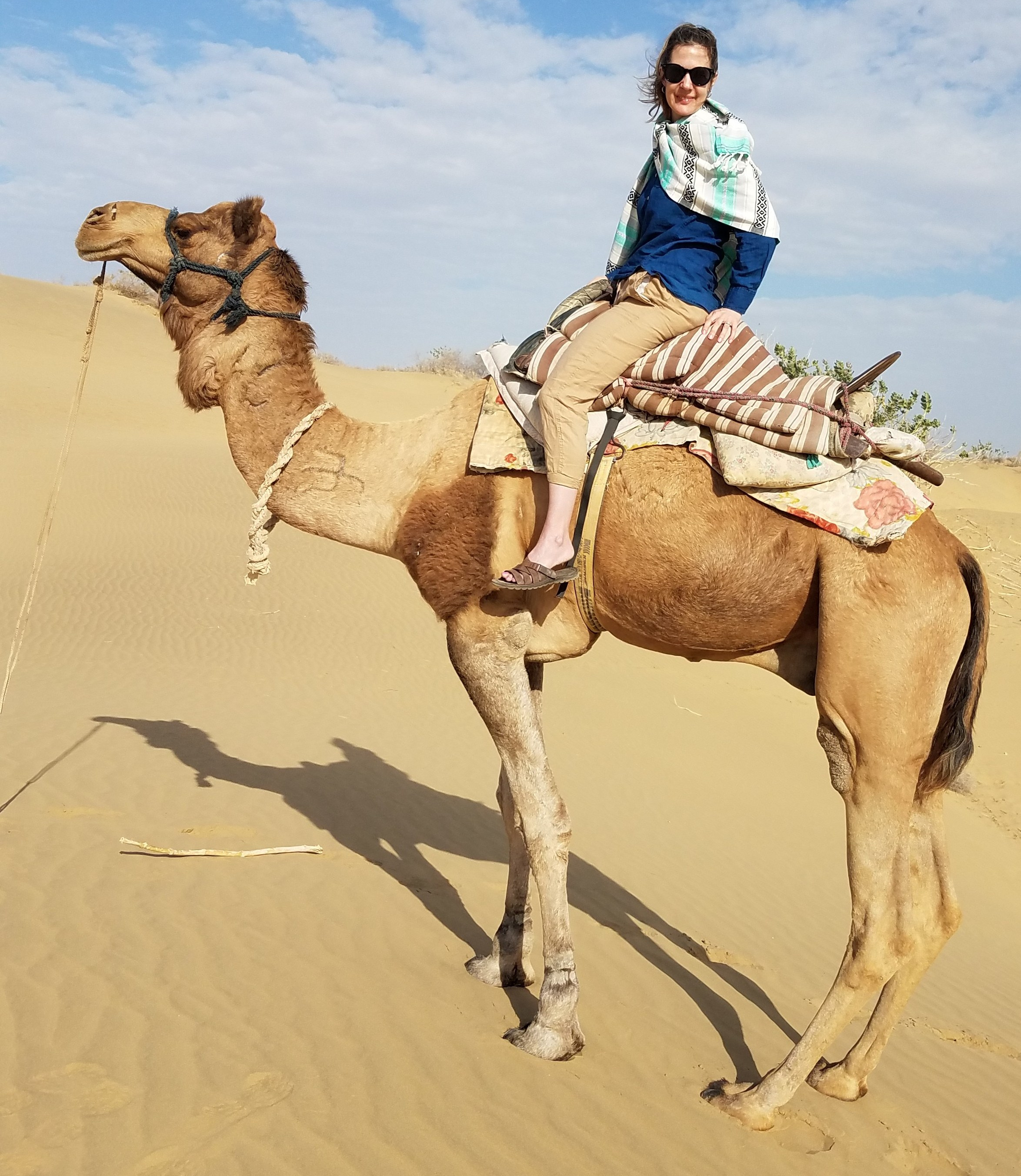 India: 20 Days of Color, Camels, and Chai