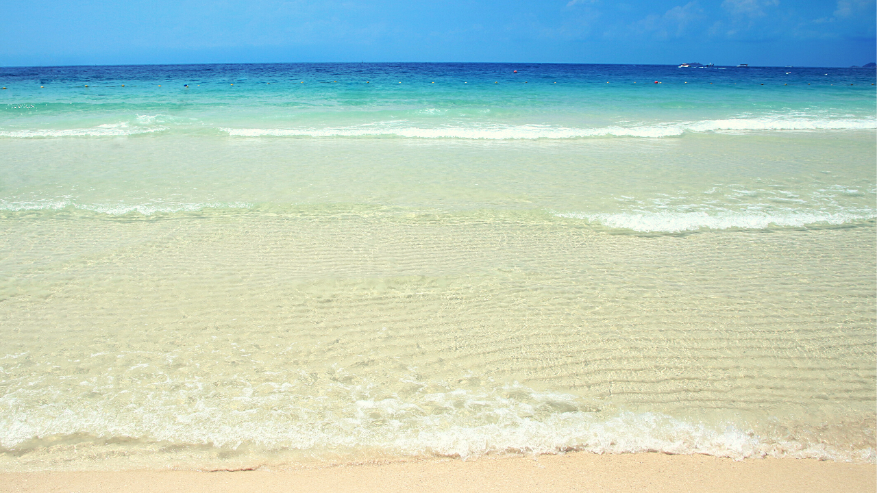 Video: How to Find Clarity & Separate your head from your heart