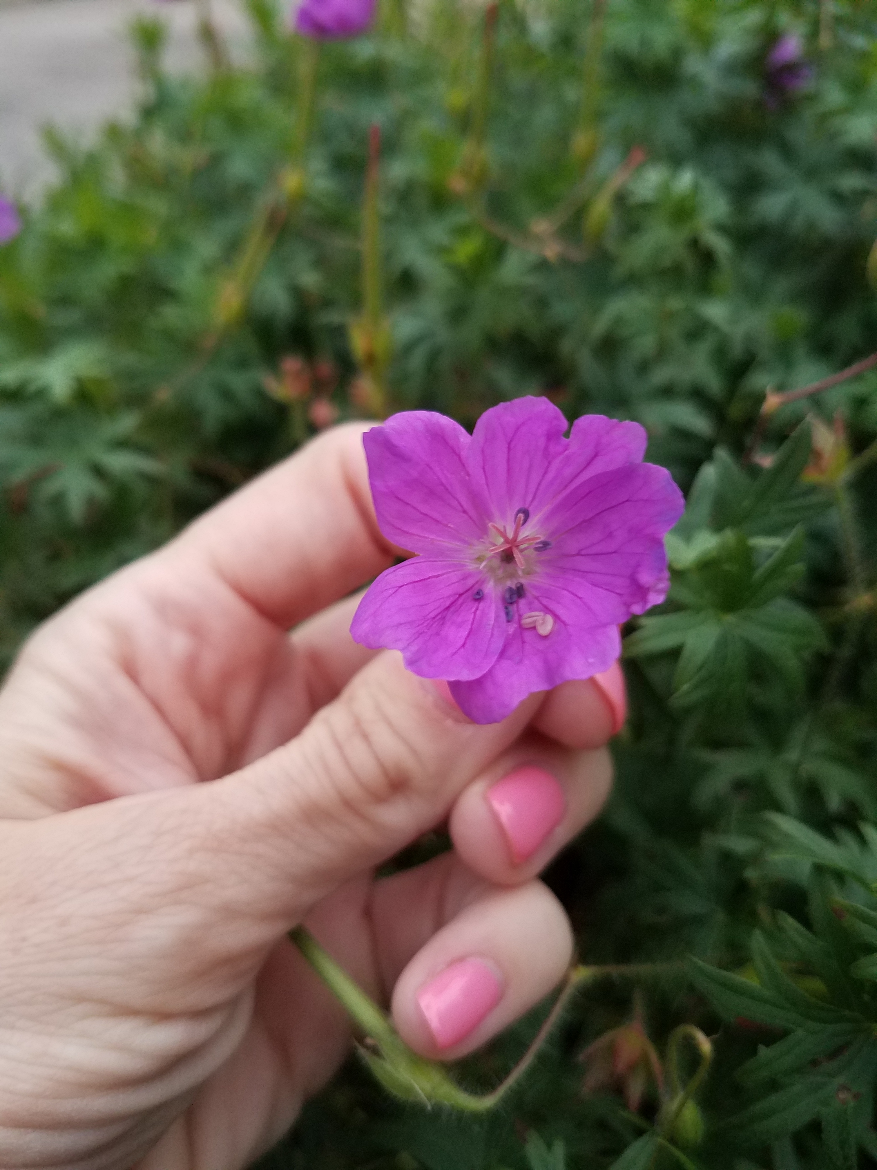 Adversity: A Gift that Doesn’t Feel Like One